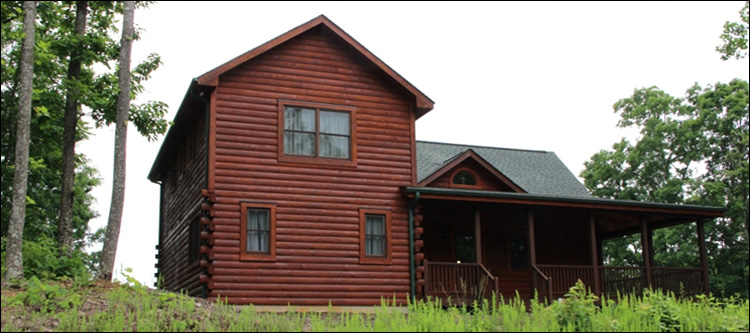 Professional Log Home Borate Application  Lanett, Alabama